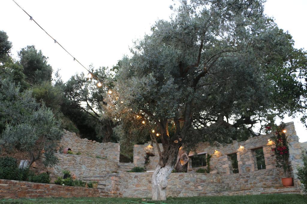 Naiades Villas Κάρυστος Εξωτερικό φωτογραφία