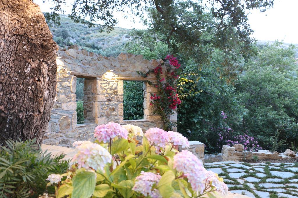 Naiades Villas Κάρυστος Εξωτερικό φωτογραφία